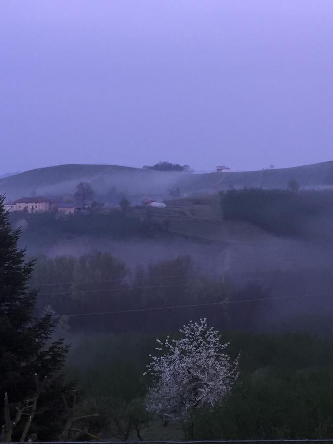アルバ Cascina Baresane Bed & Breakfast エクステリア 写真